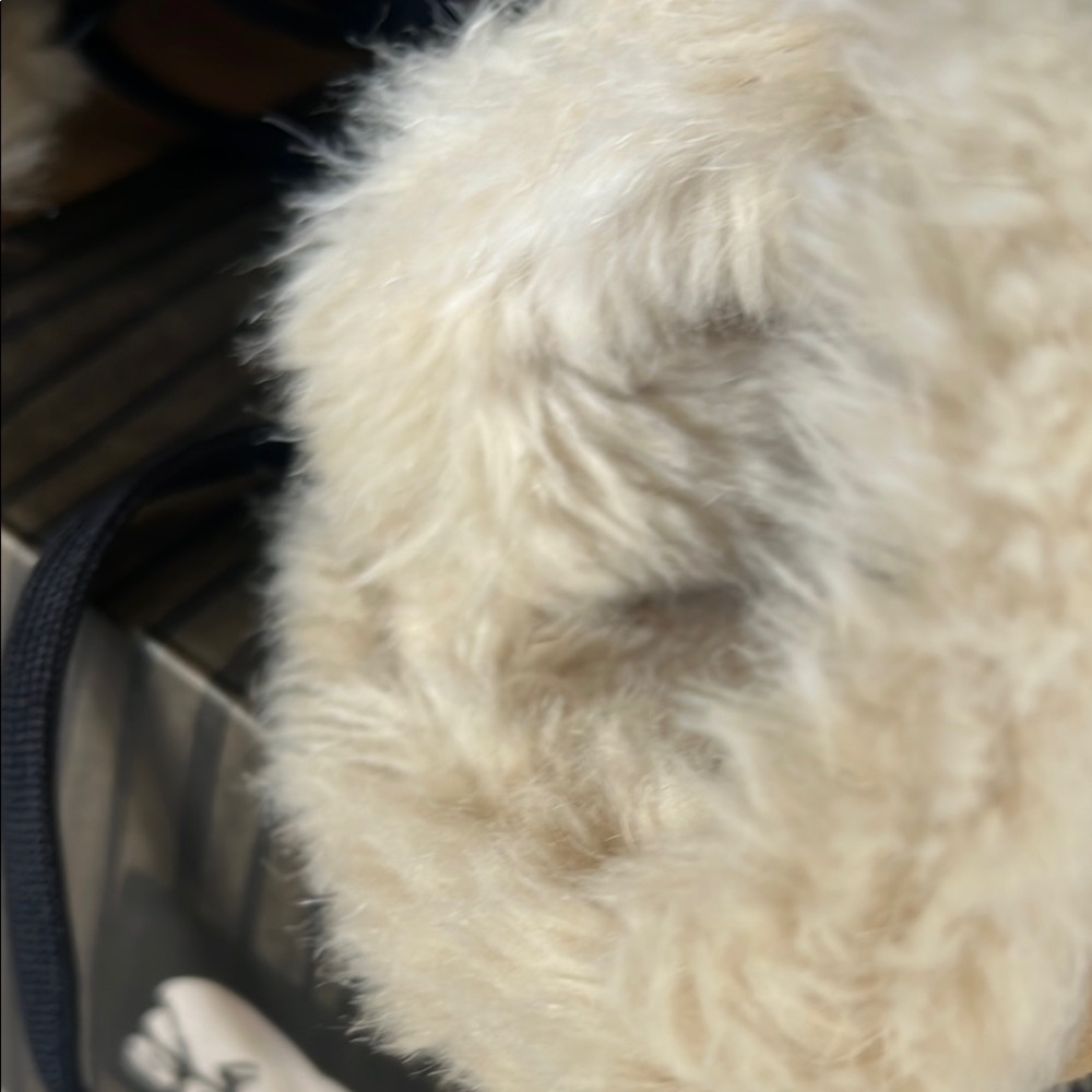 Sorel Tan and Black Winter Rain Boots Durable Design - Picture 8 of 9
